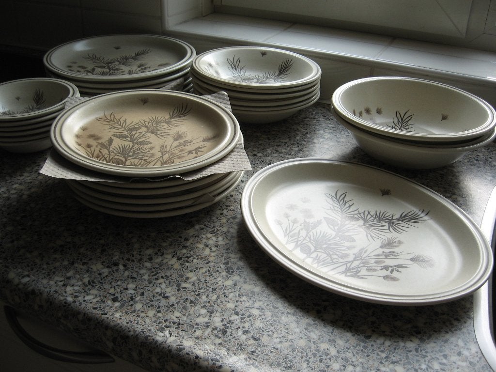 zgan 27 delen Engels Pinewood servies Samen €25,00, Ophalen, Zo goed als nieuw, Aardewerk, Overige stijlen