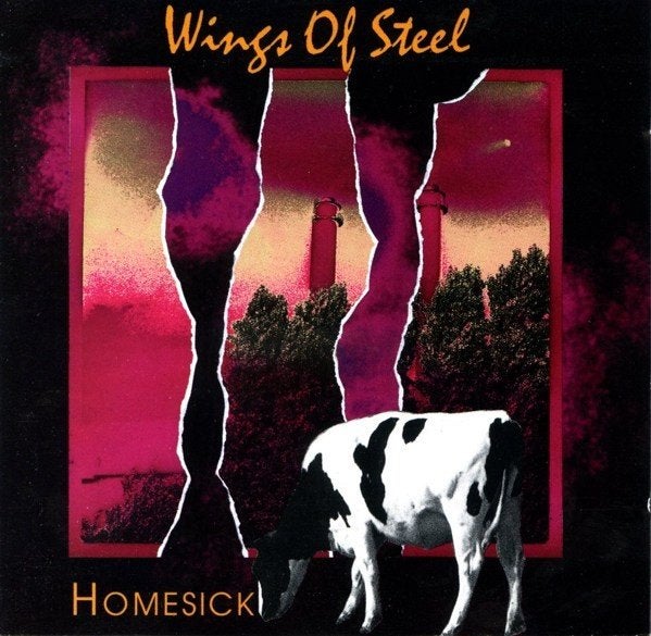 Wings of Steel (NL) - Homesick (SI Music 1992) * PROG *, Progressive Rock, Ophalen of Verzenden, Zo goed als nieuw, Album