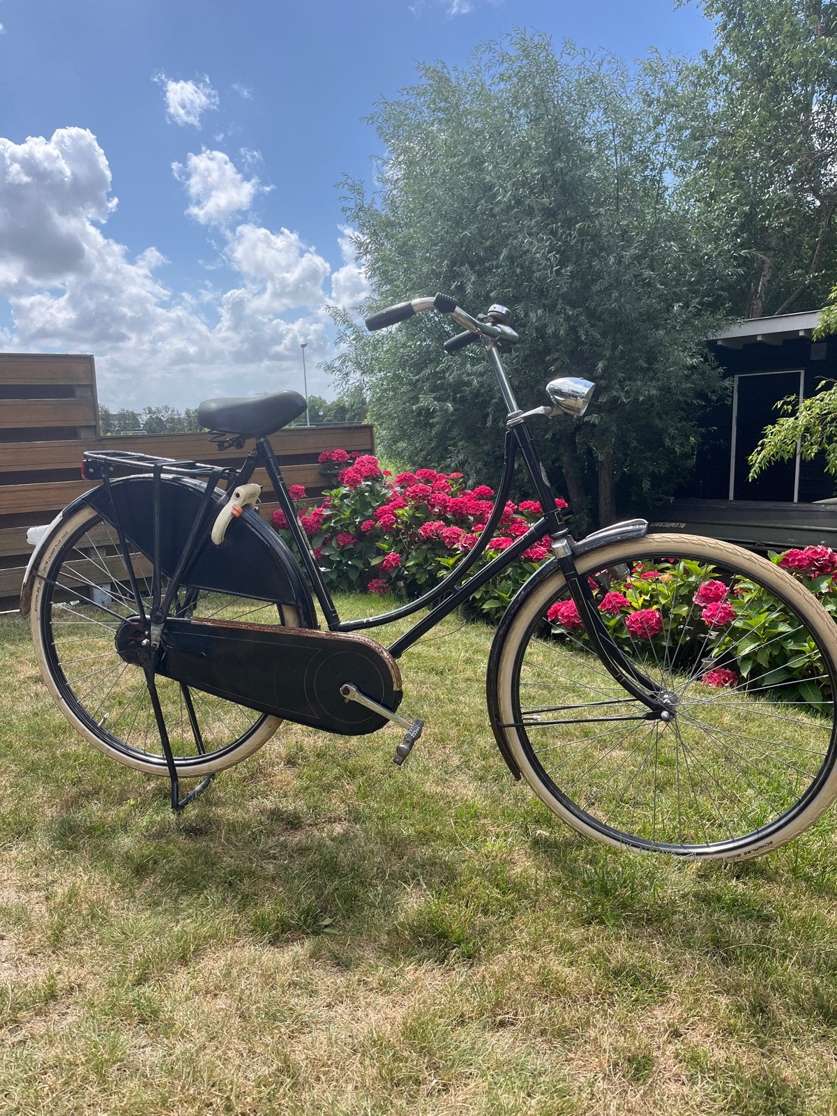 Vintage Gazelle Damesfiets - Klassiek en Robuust, Ophalen, Terugtraprem, Gazelle, 53 tot 56 cm