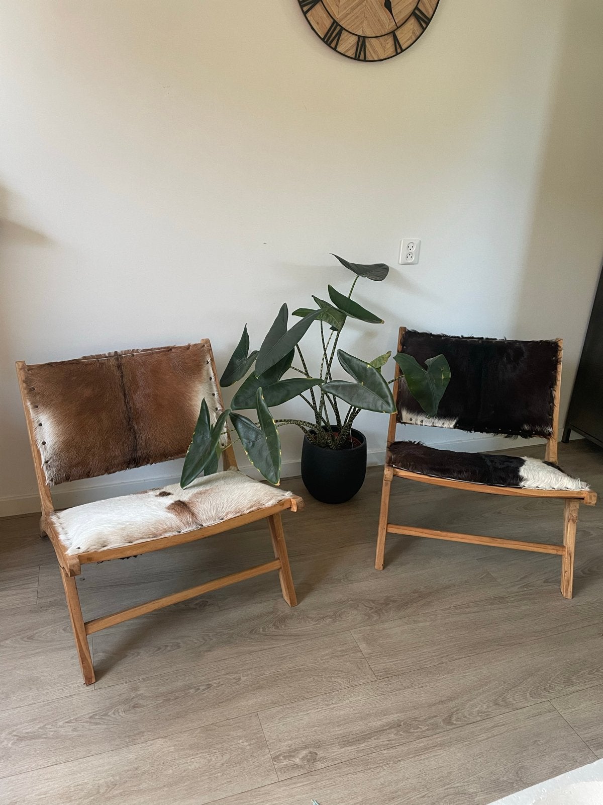 Set van 2 Koeienhuid Stoelen - Sierstoelen met Koeienprint, Gebruikt, Twee, Bruin, Ophalen of Verzenden