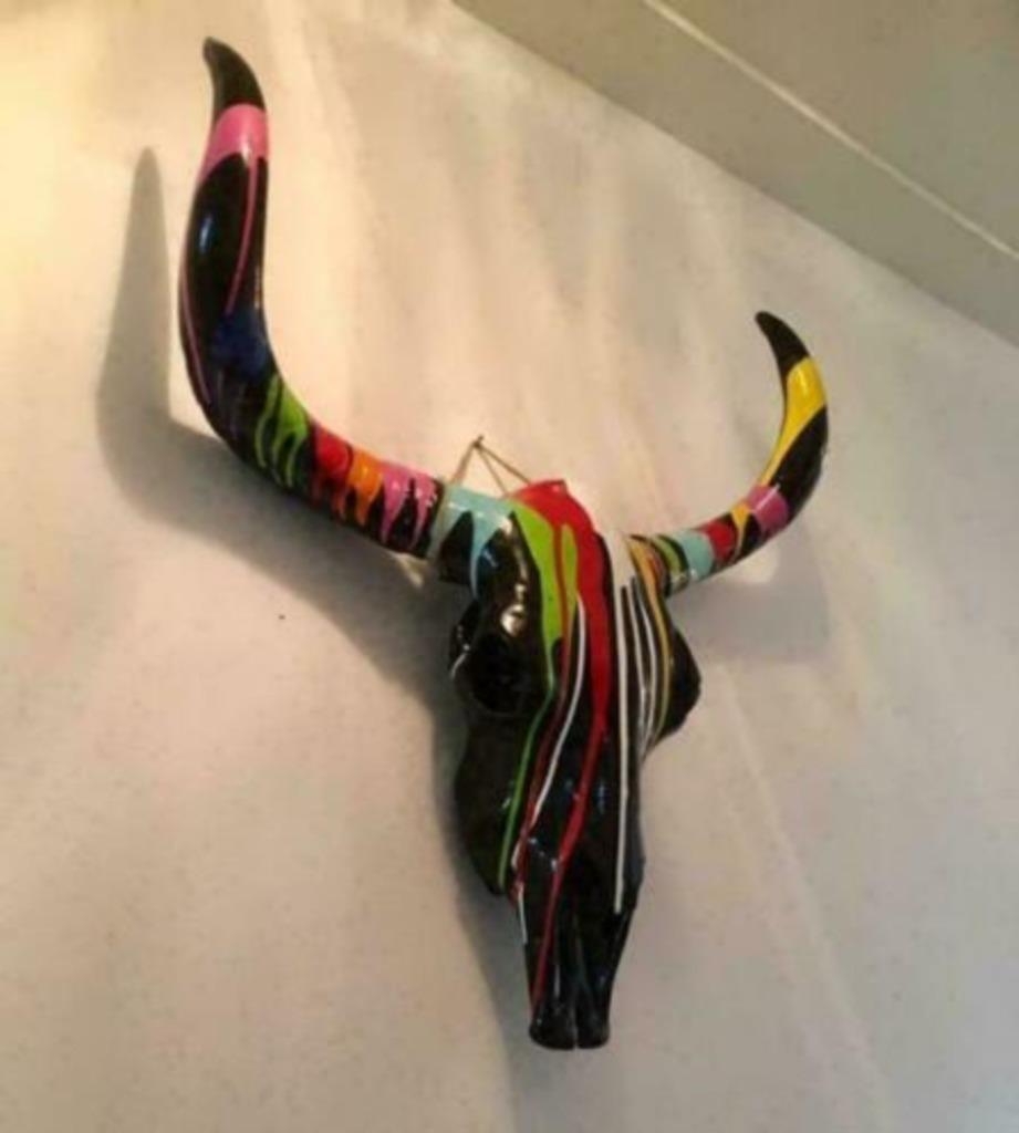 Skull ,Buffelschedel met Herman Brood achtige kleuren(zwart), Ophalen of Verzenden