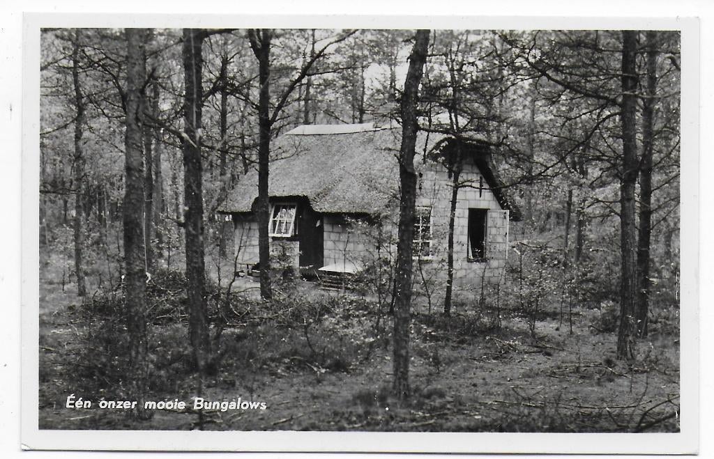 Grollo De Berenkuil oude ongelopen ansichtkaart B7528, Ophalen of Verzenden, 1960 tot 1980, Ongelopen