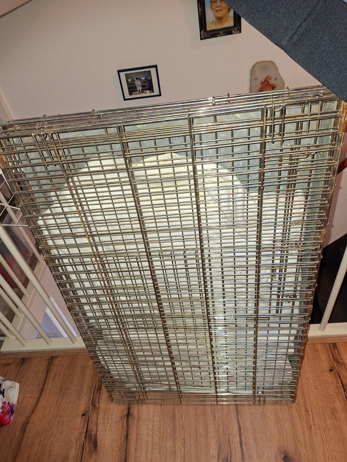 grote bench, Ophalen, Gebruikt, Minder dan 75 cm, 100 cm of meer