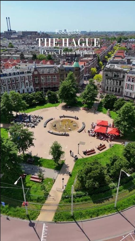 Ik zoek hulp !  En schaam me kapot !, Huizen en Kamers, Kamers te huur, Den Haag, 35 tot 50 m²