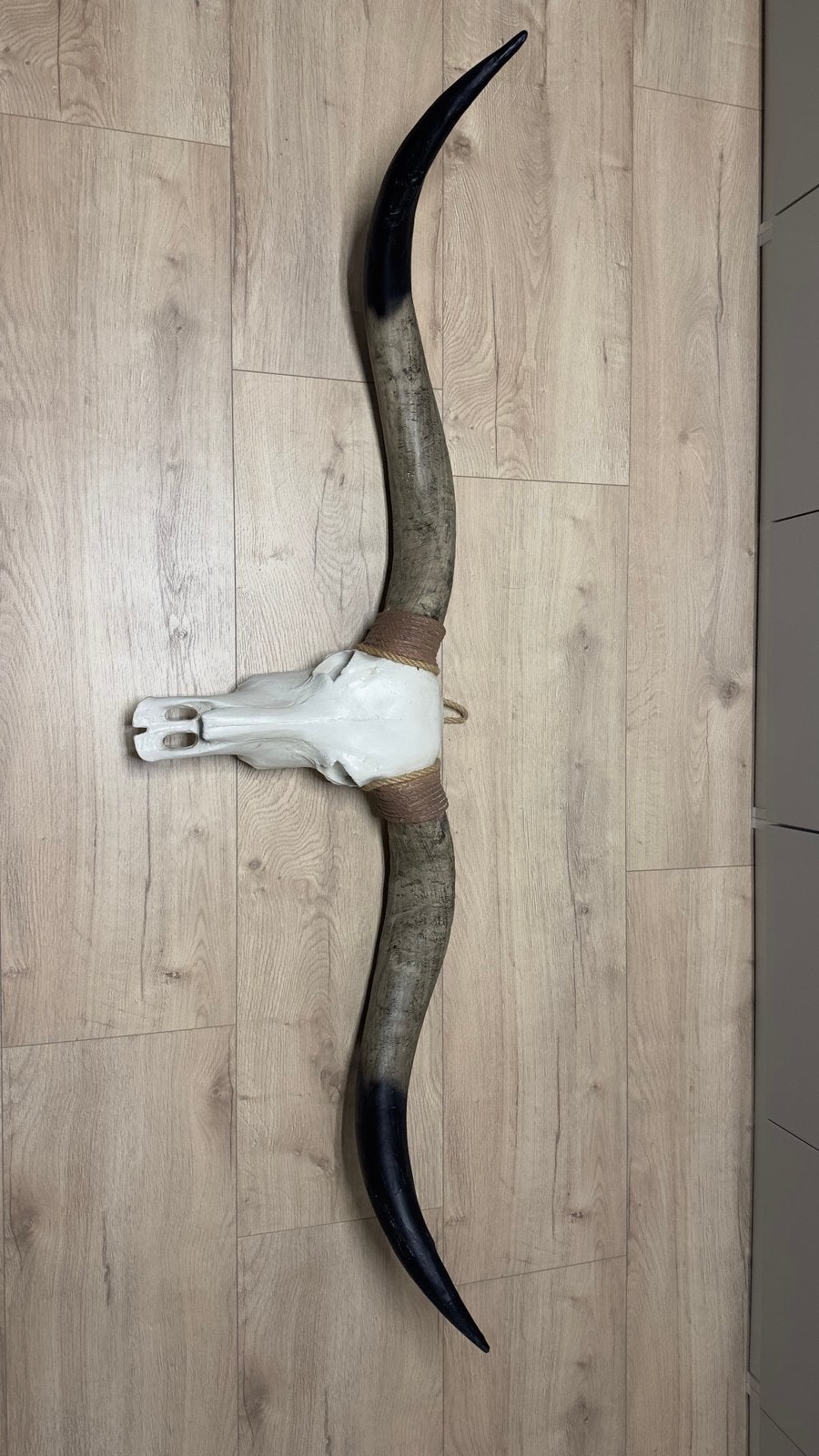 Fantastische Longhorn schedel 170cm, Ophalen, Zo goed als nieuw