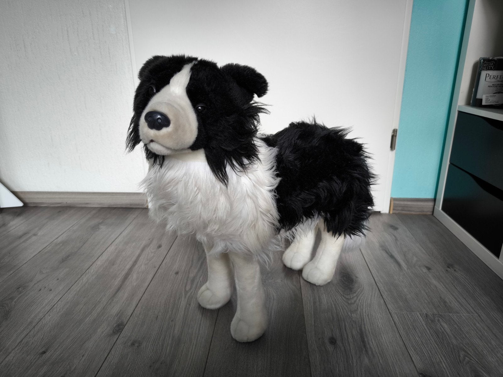 Grote knuffel Border Collie - 53 cm hoog, 58 cm lang, Verzenden, Hond, Zo goed als nieuw, Middelgroot (20 tot 80 cm)