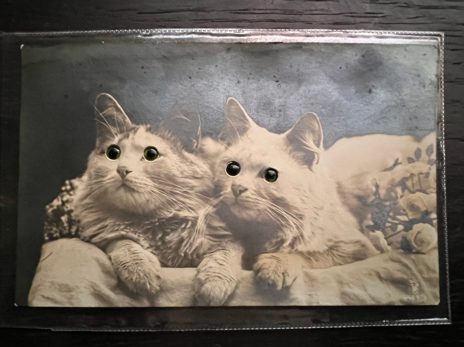 Art deco oogjes kaart van poezen met groene ogen, Verzamelen, Ophalen of Verzenden, 1920 tot 1940, Ongelopen, Hond of Kat