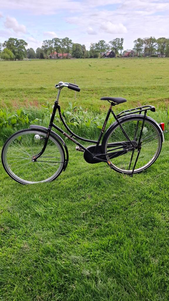 Stationsfiets, Fietsen en Brommers, Fietsen | Dames | Damesfietsen, Ophalen, Overige merken