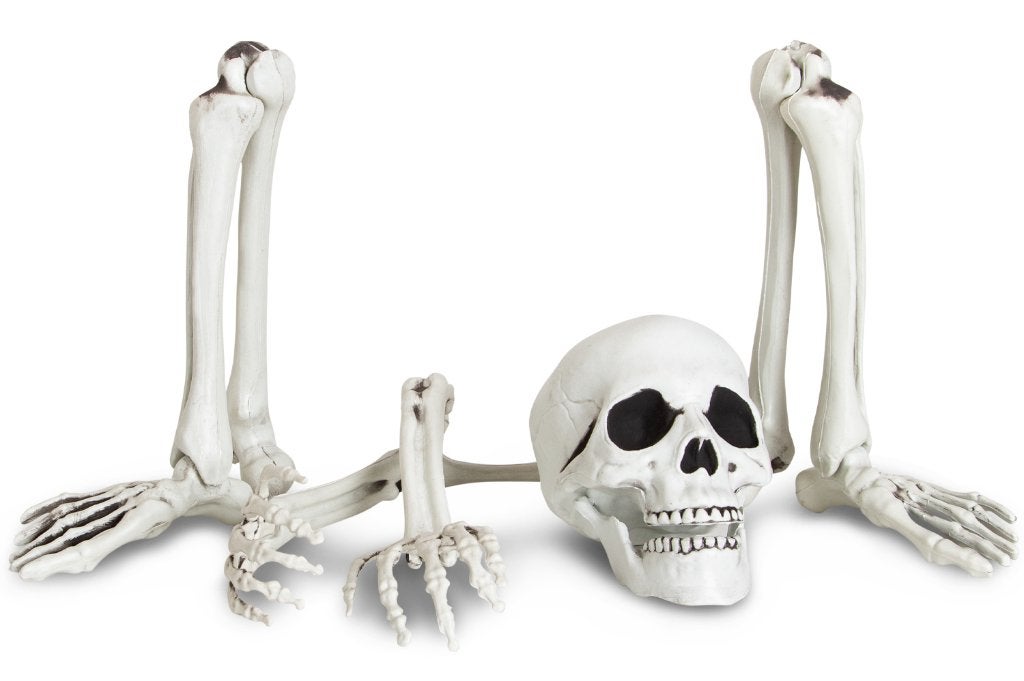 Halloween, Info@douf.nl, Douf, Halloween of Griezel, Nieuw