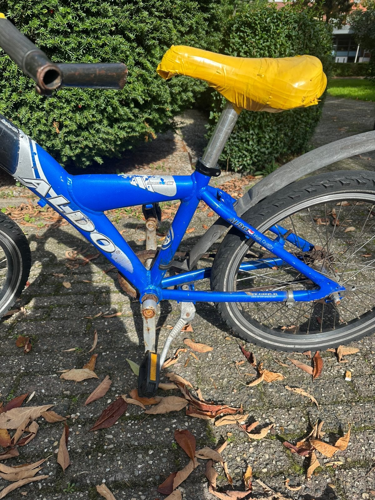 Foto 3 van Aldo kinderfiets 20 inch, blauw, met voorvering