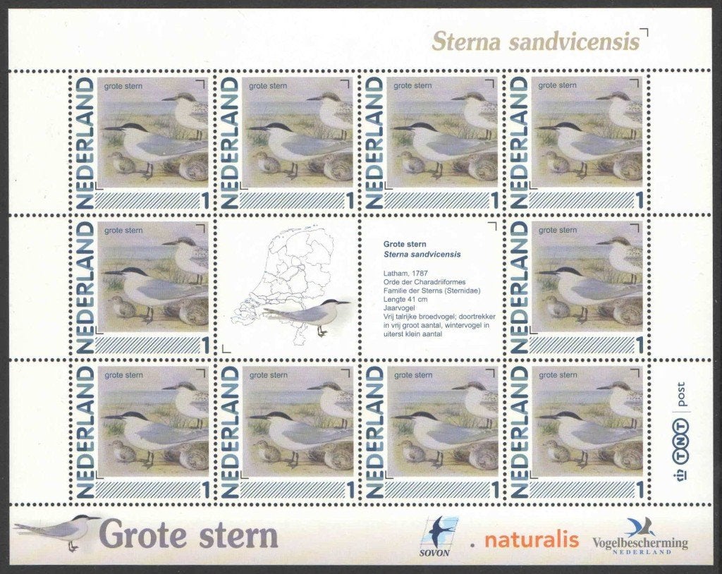 Postzegels Vogels in Nederland: Grote stern, Ophalen of Verzenden, Na 1940, Postfris