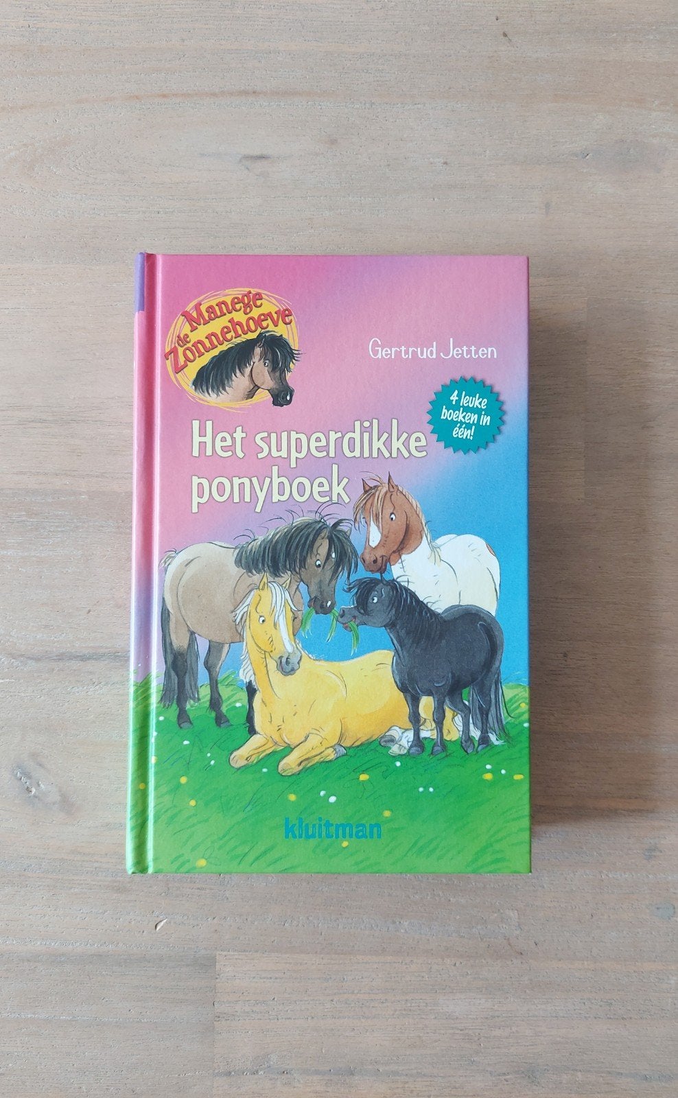 Gertrud Jetten - Het superdikke ponyboek, Gelezen, Fictie algemeen, Ophalen of Verzenden, Gertrud Jetten