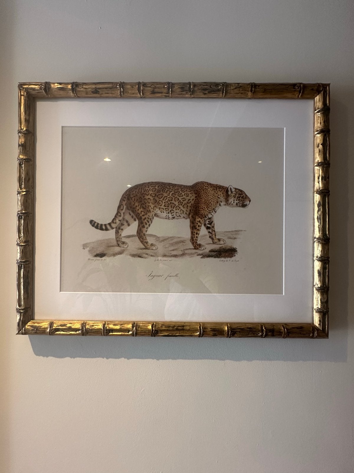 Eigholtz schilderij met jachtluipaard, Ophalen, Dieren, Klassiek, Print
