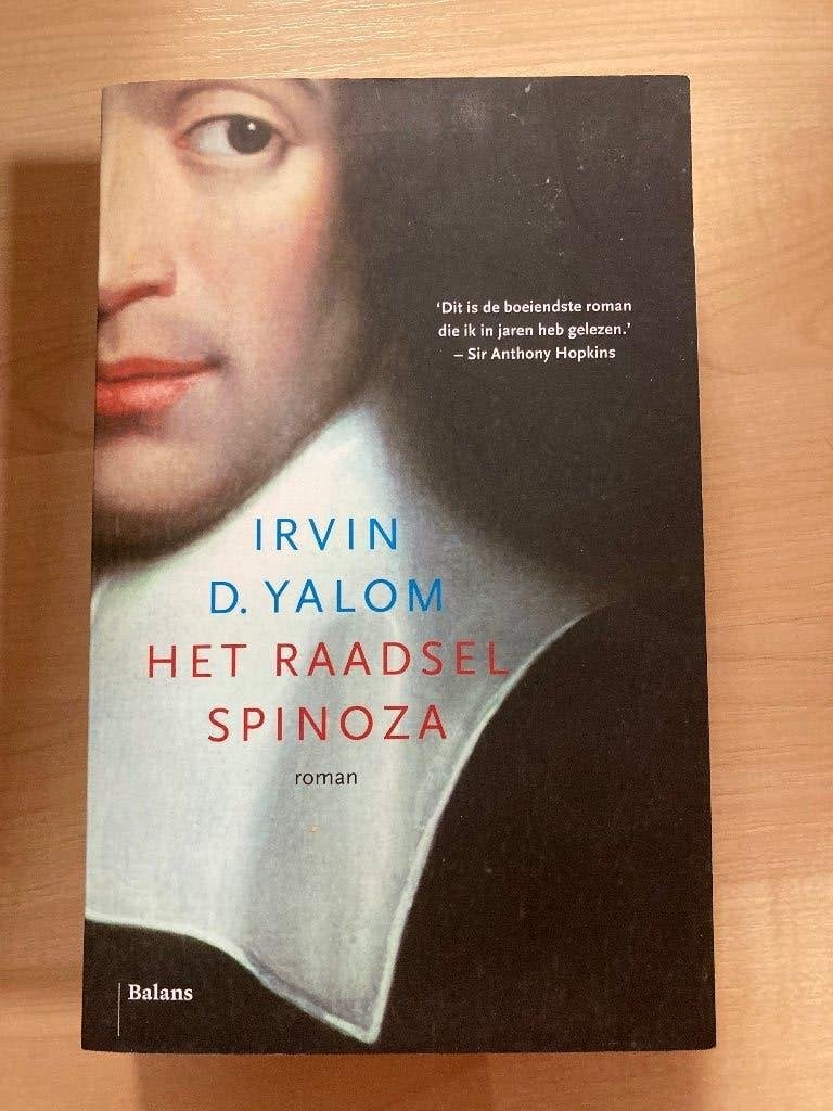 Het Raadsel Spinoza - Irvin D. Yalom (roman), Boeken, Ophalen of Verzenden, Zo goed als nieuw, Irvin D. Yalom, Overige onderwerpen