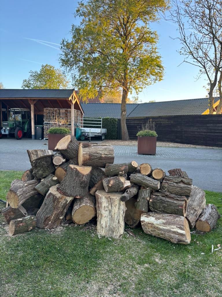 Eikenhout brandhout +/- 2.5/ 3  kuub, Tuin en Terras, Haardhout, Minder dan 3 m³, Ophalen of Verzenden, Eikenhout, Stammen