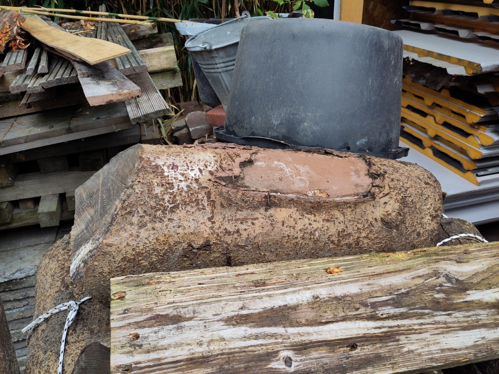 Essen hout voor beeldhouwkunst, Tuin en Terras, Palen, Balken en Planken, Ophalen of Verzenden, Gebruikt, Minder dan 180 cm, Palen