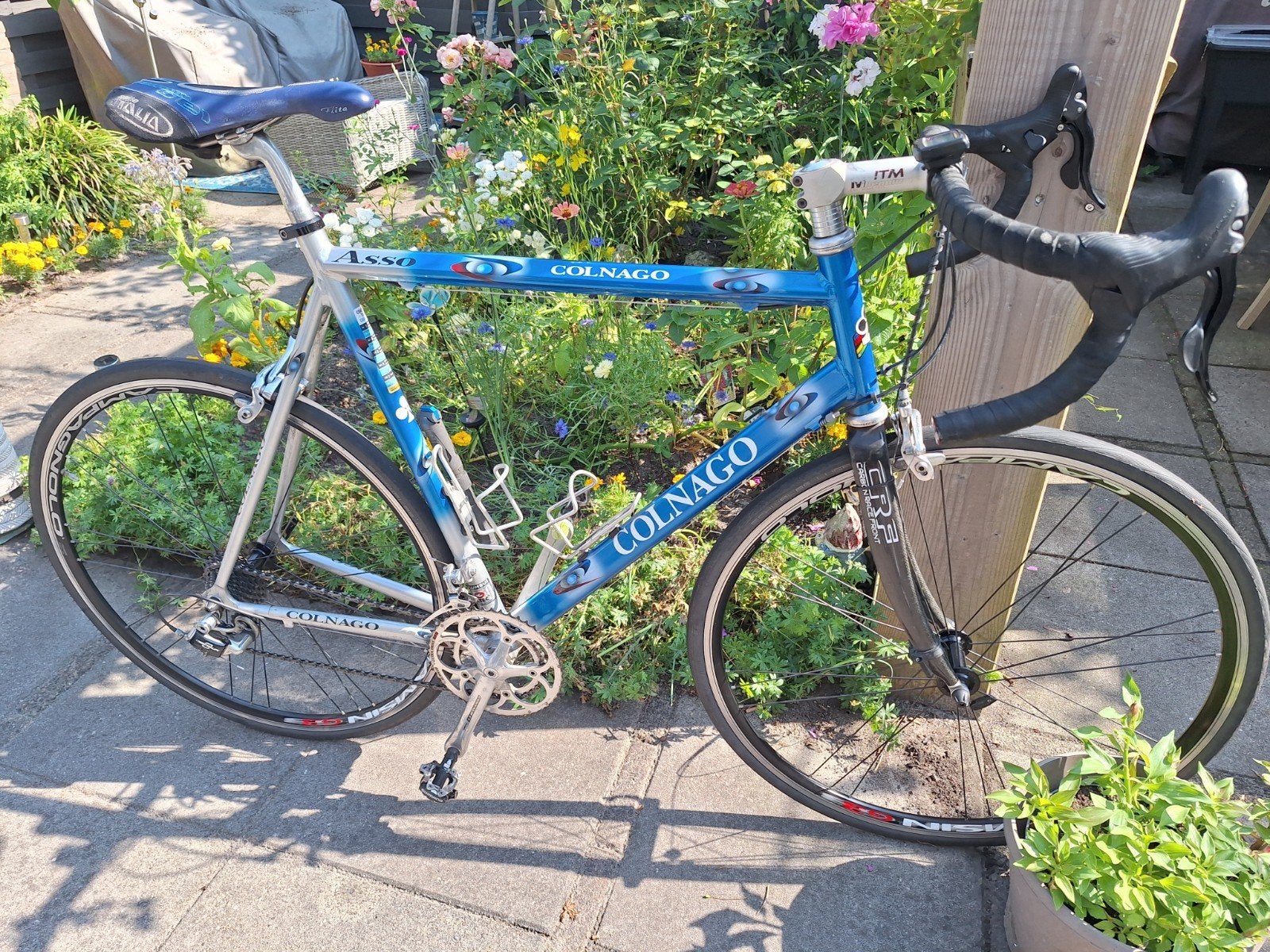 Colnago Asso, 28 inch, Gebruikt, Velgrem, 15 tot 20 versnellingen