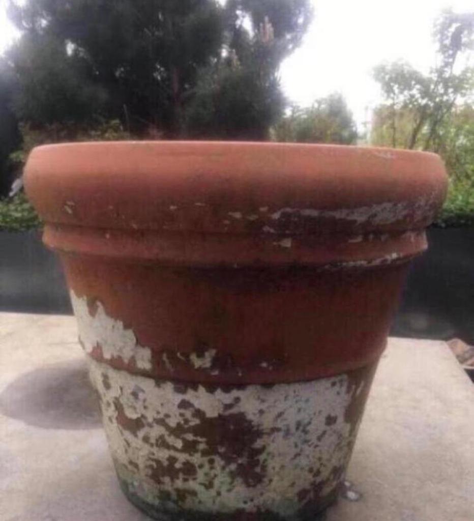 Grote terracotta bloempot met een diameter van 47cm, Gebruikt, 40 cm of meer, Rond, Binnen