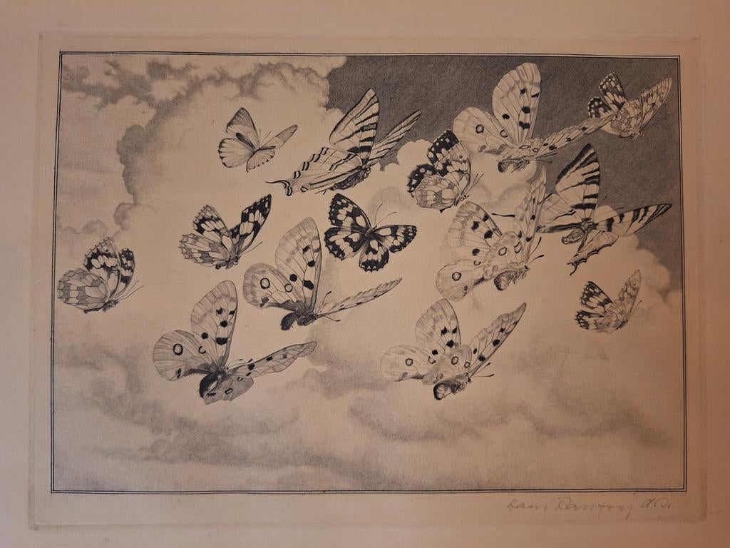 Ets van Vlinders door Hans Ranzoni 1896 -1991, Antiek en Kunst, Kunst | Etsen en Gravures, Ophalen of Verzenden