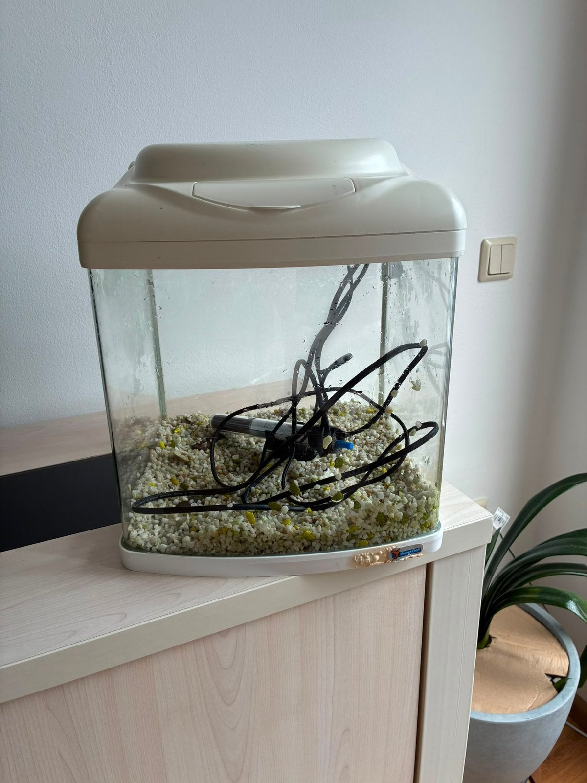 Aquarium, Dieren en Toebehoren, Ophalen, Gebruikt, Leeg aquarium