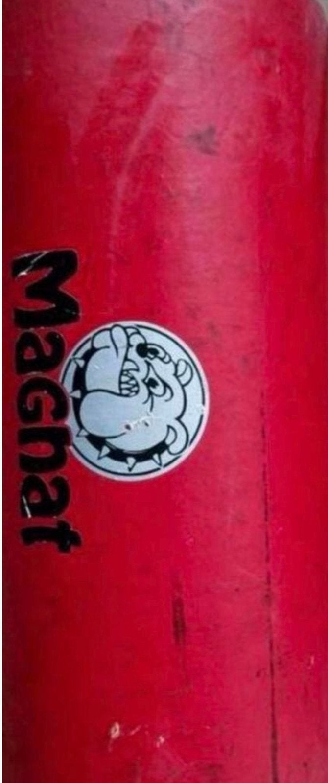 Magnat Buffalo Bull subwoofer, Ophalen of Verzenden, Gebruikt