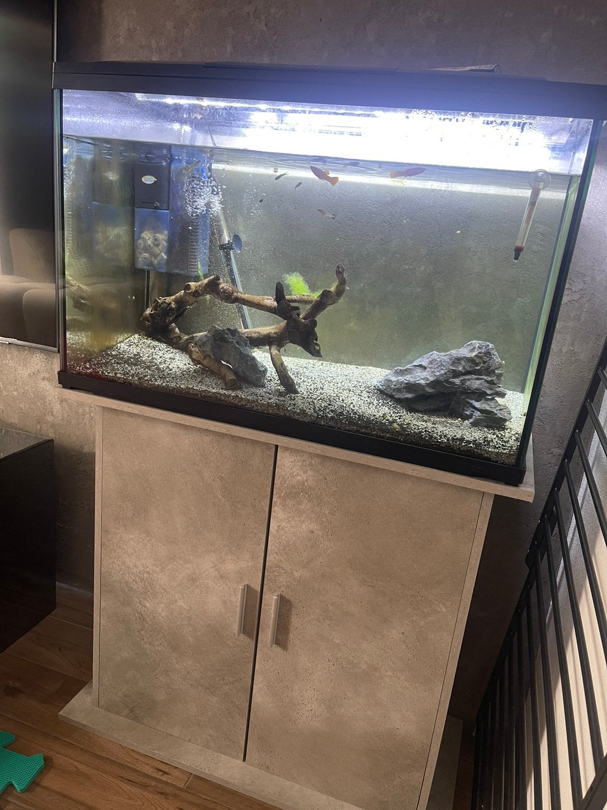 Aquarium, Ophalen of Verzenden, Zo goed als nieuw, Leeg aquarium