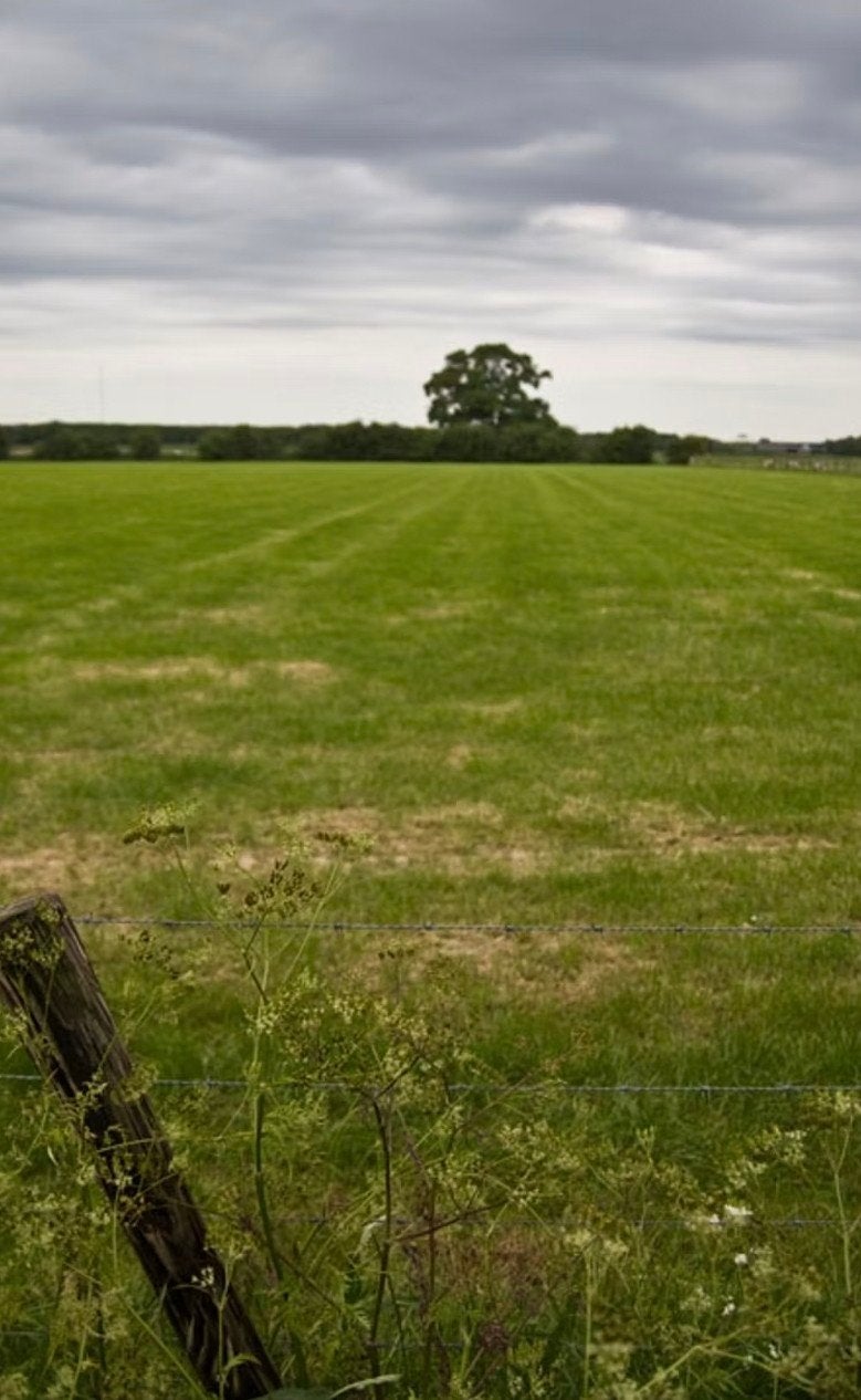 Gezocht stukje grond. omgeving Enschede Gronau, Weidegang