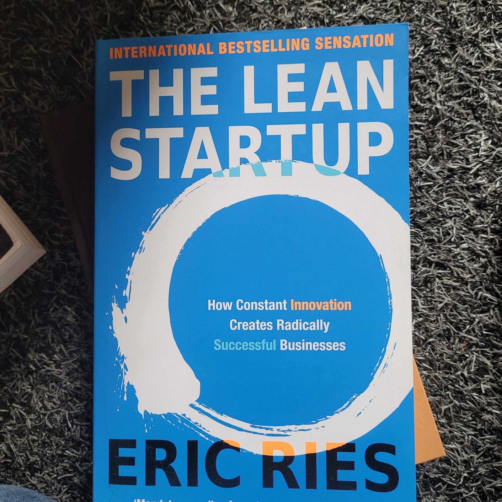 The Lean Startup - Eric Ries (Engels), Boeken, Ophalen of Verzenden, Zo goed als nieuw, Eric Ries, Europa overig