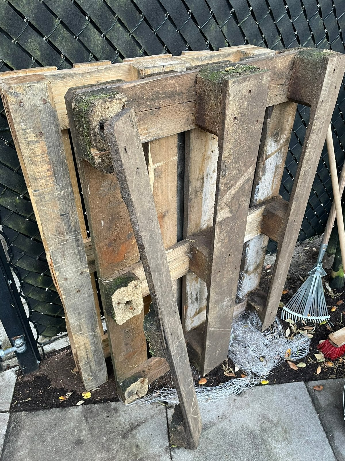 Gratis ophalen: Gebruikte pallets, Ophalen, Gebruikt, 50 mm of meer, Pallet