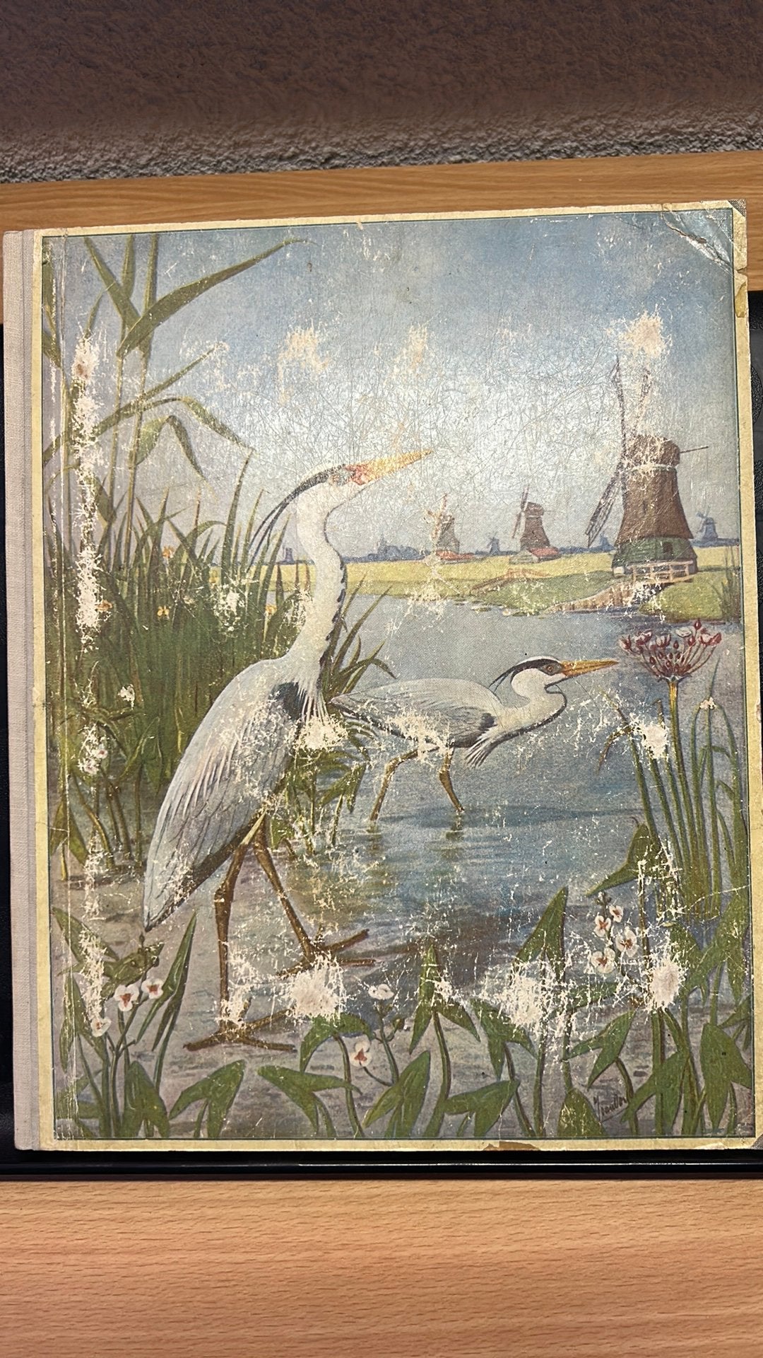 Lente J. P. Thijsse (1906) - Geïllustreerd 1e druk! Gestoken, Ophalen of Verzenden, Gelezen, Bloemen, Planten en Bomen