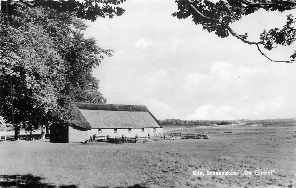 381-402-031 Ede Schaapskooi De Ginkel, Verzamelen, Verzenden, Voor 1920, Gelderland