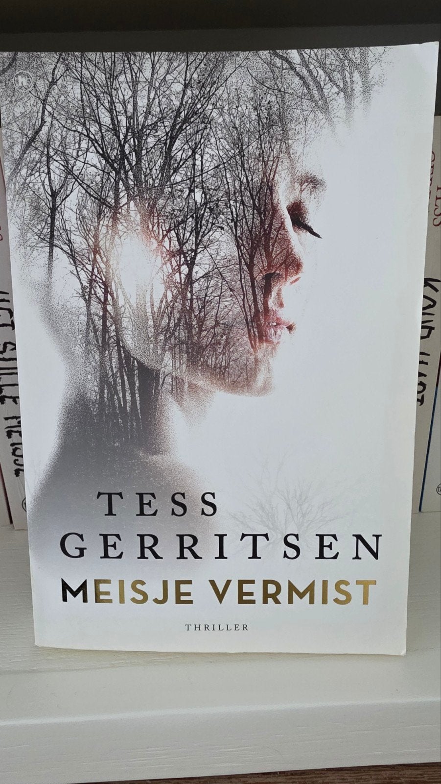 Tess Gerritsen - Meisje vermist, Boeken, Thrillers, Zo goed als nieuw, Ophalen of Verzenden