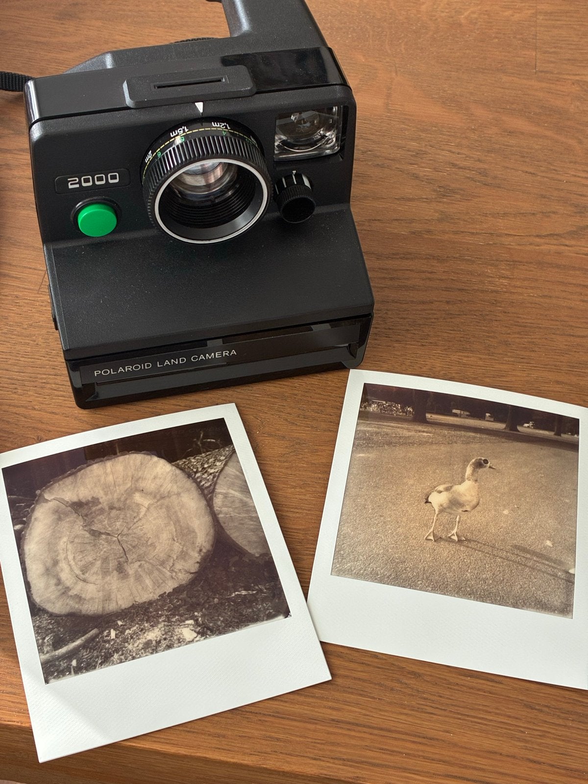 Polaroid 2000 Land Camera - Vintage Instant Camera, Ophalen of Verzenden, Zo goed als nieuw, Polaroid