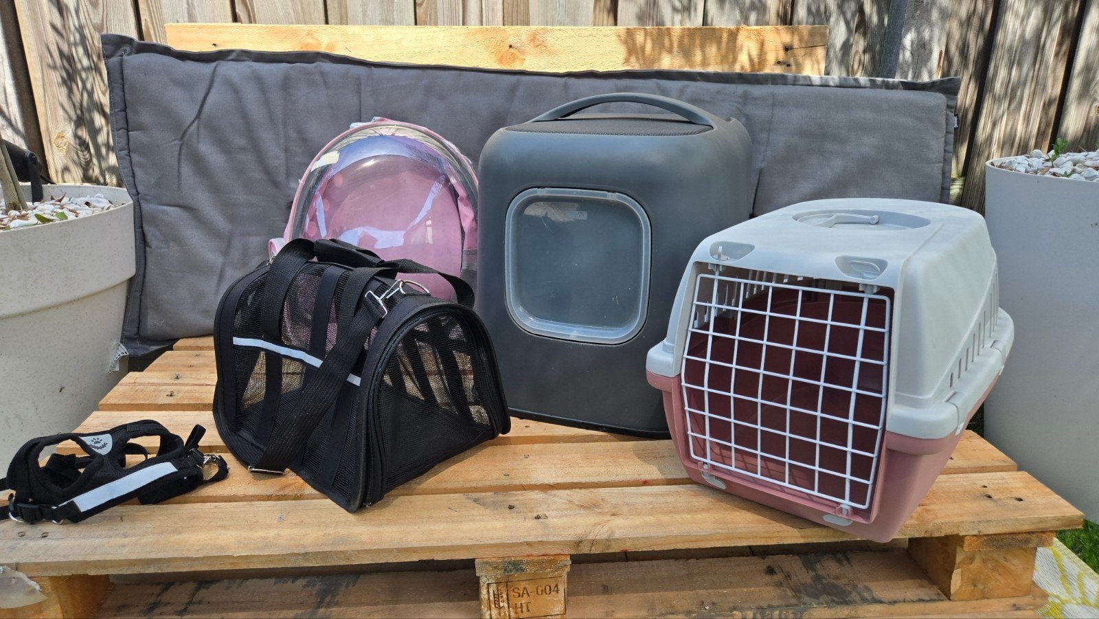 Katten starterspakket, Dieren en Toebehoren, Katten-accessoires, Ophalen
