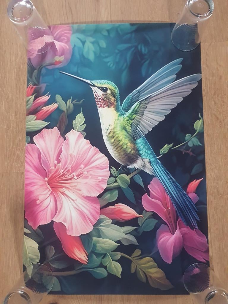Nieuwe canvas poster 40x60, Ophalen of Verzenden, Nieuw