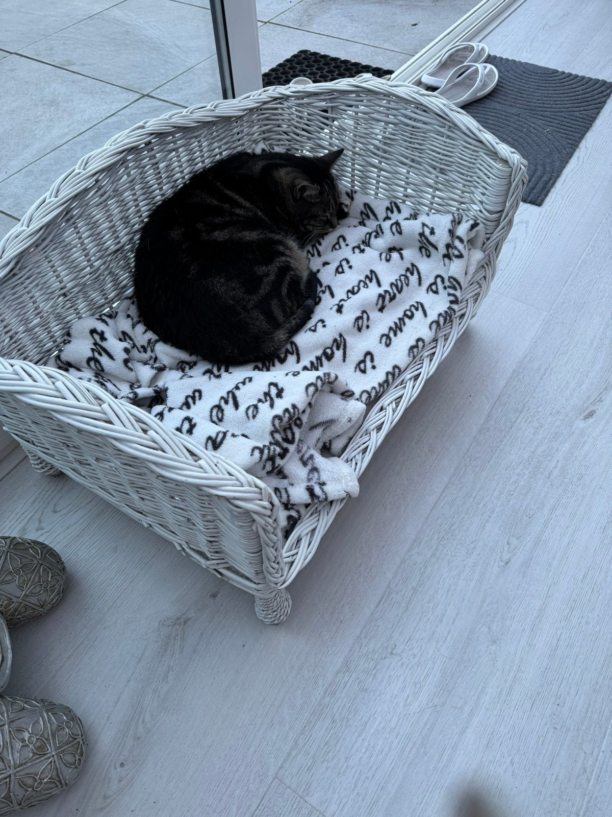 Leuke katten/honden mand, Dieren en Toebehoren, Ophalen, Gebruikt, Riet