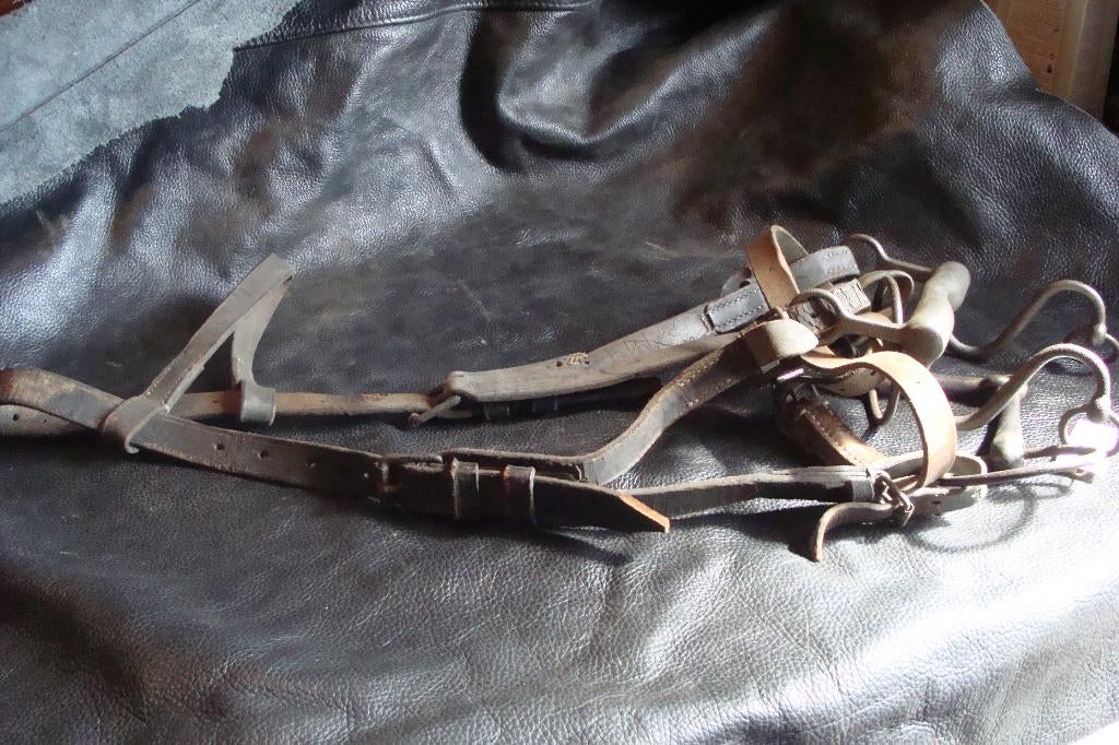 Duits hoofdstel, Verzamelen, Ophalen of Verzenden, Landmacht, Duitsland, Overige typen