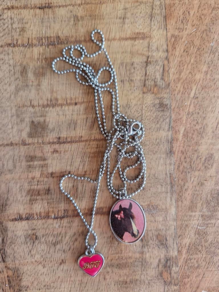 Ketting met paarden  ( staan er meerdere op diverse), Sieraden, Tassen en Uiterlijk, Kettingen, Ophalen of Verzenden, Overige materialen