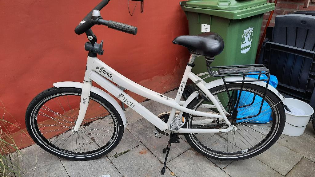 Damesfiets, Fietsen en Brommers, Fietsen | Dames | Damesfietsen, Terugtraprem, Gebruikt, 47 tot 50 cm, Ophalen