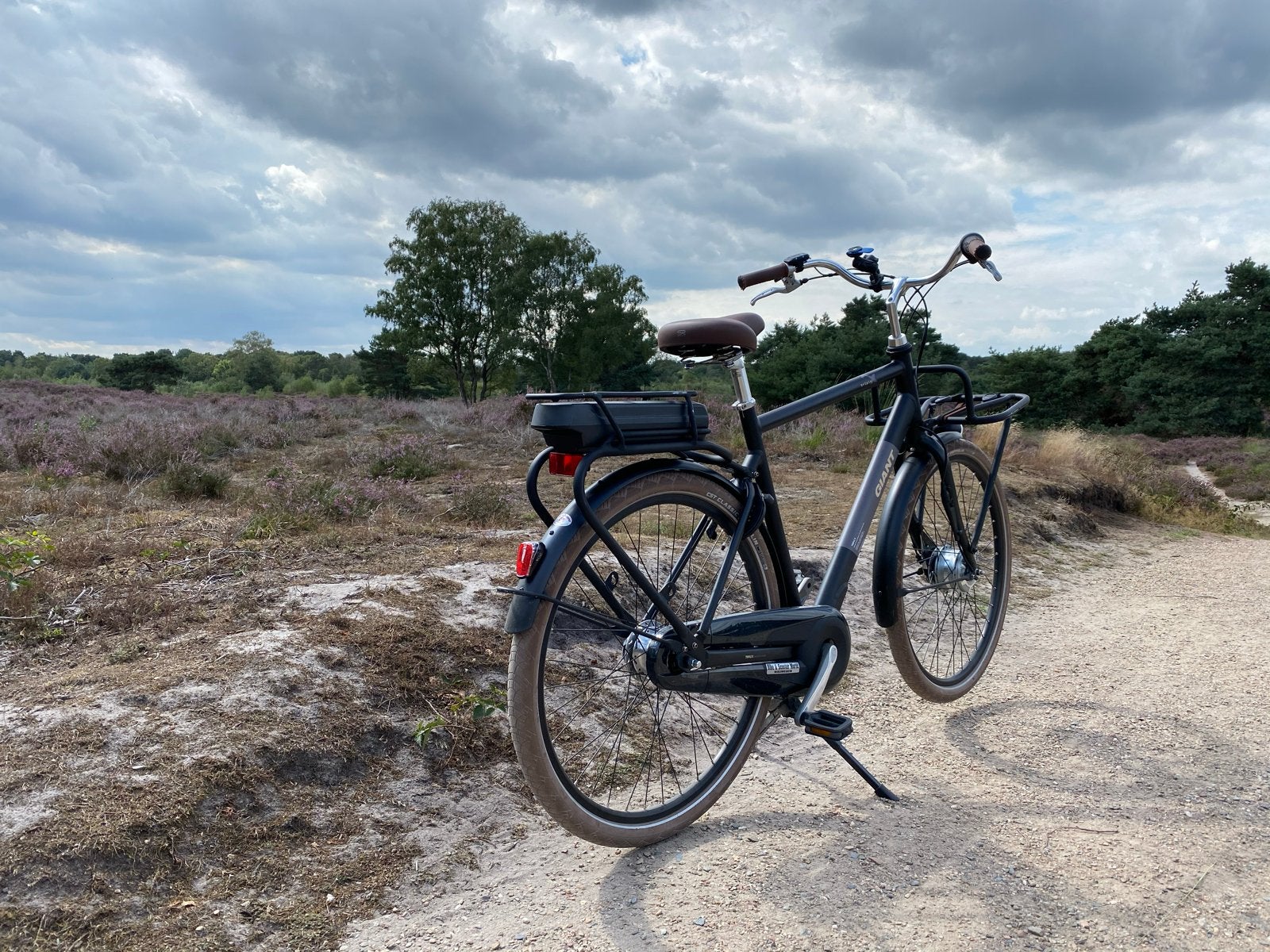 Giant Triple X E-bike extra hoog XL (180-210 cm) - ZGAN, Zo goed als nieuw, 59 cm of meer, 50 km per accu of meer, Giant