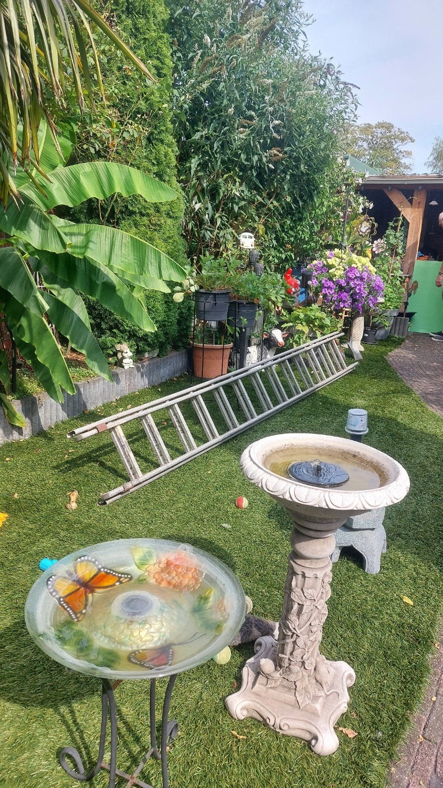 ladder te koop, Ophalen, Gebruikt
