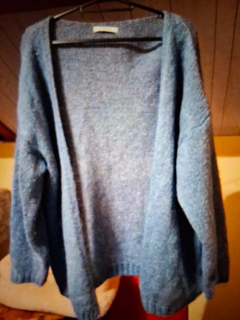 Vest one size, Kleding | Dames, Ophalen of Verzenden, Zo goed als nieuw, Blauw