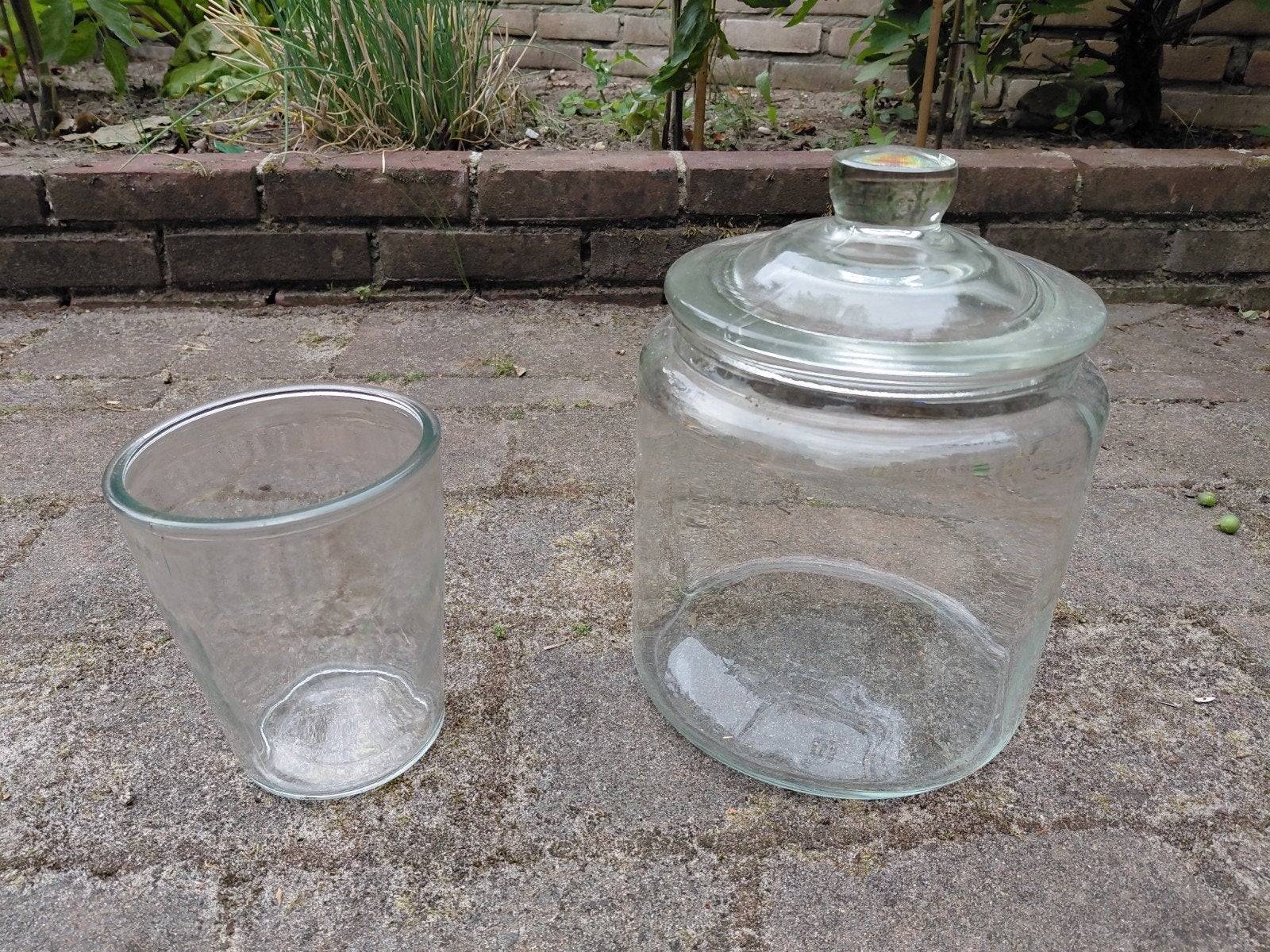 Glazen pot met deksel en glazen bloempot, Ophalen of Verzenden
