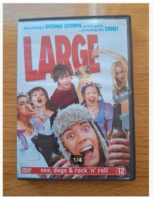 Dvd large, a british american pie h3, Vanaf 12 jaar, Ophalen of Verzenden, Zo goed als nieuw, Romantische komedie