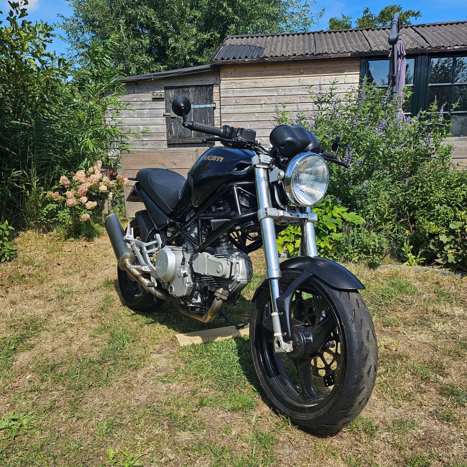 Ducati Monster Dark 600 2001, Triumph Tiger 900 1998, Motoren, Motoren | Ducati, 2 cilinders, Occasion, Motorrijbewijs A, Particulier