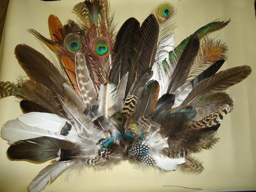 vogelverenpakketten voor smudge feathers/fans enz.., Ophalen of Verzenden, Nieuw