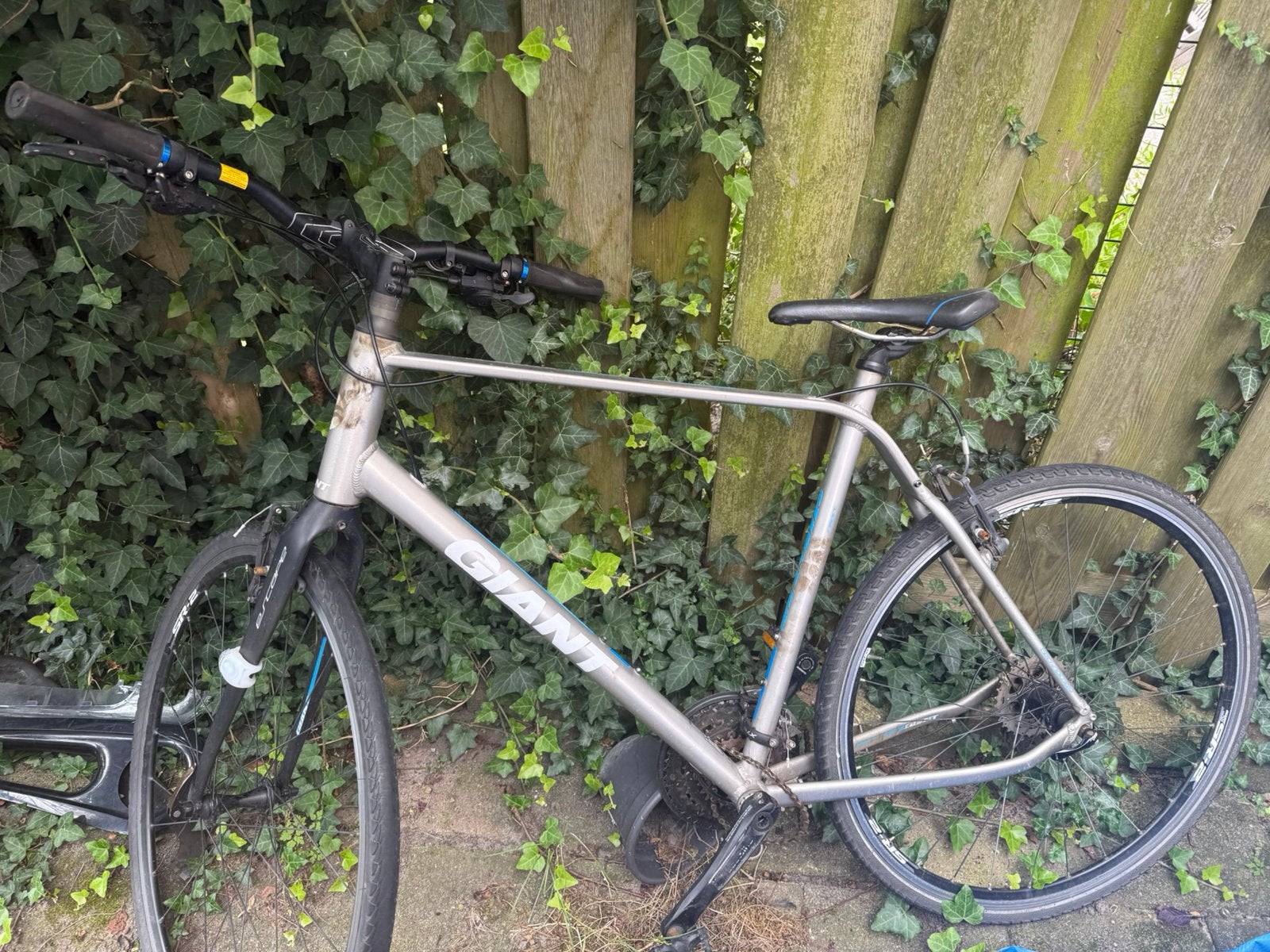 Giant goeie fiets alleen nieuwe ketting erop, Ophalen, Gebruikt, Meer dan 20 versnellingen, Giant