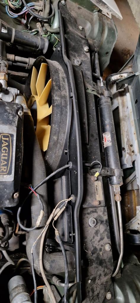 Jaguar XJS 3.6 Radiateur - Zo goed als nieuw, Ophalen of Verzenden, Gebruikt, Jaguar