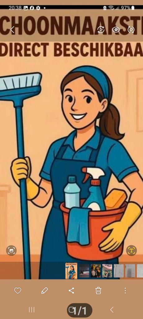 Schoonmaakster / huishoudelijke hulp aangeboden, Vacatures, Vacatures | Schoonmaak en Facilitaire diensten, Vanaf 10 jaar, Overige vormen