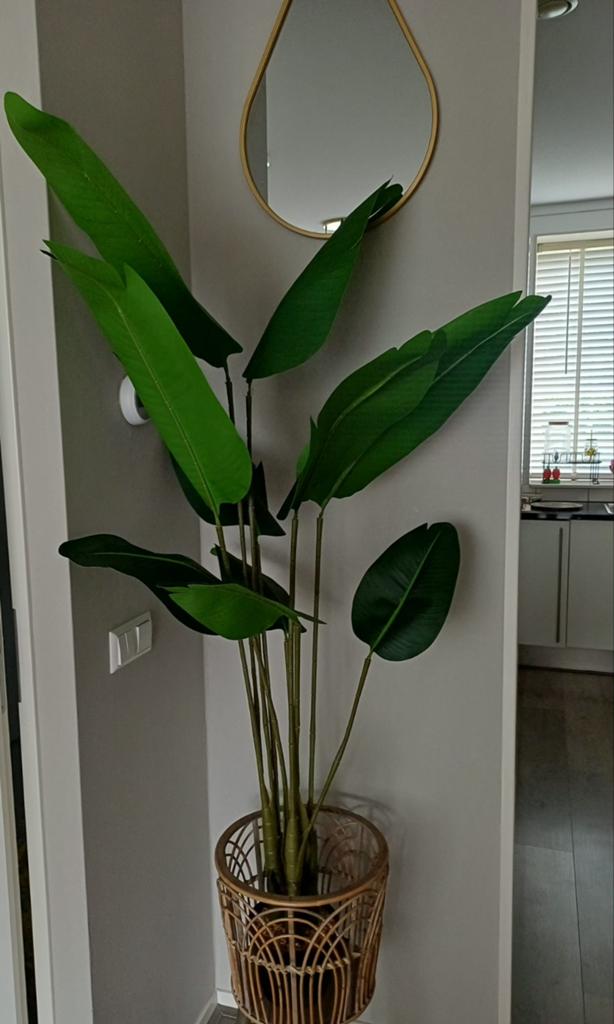 Kunstplant Strelitzia 160 cm - Tropische Sfeer nieuw, Huis en Inrichting, Woonaccessoires | Kunstplanten en Kunstbloemen, Binnen